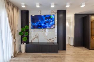 Spa Tesla Premium Apartman - Batajnica - 3