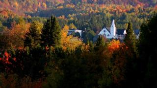 Your Cozy Cabin Retreat - Saint-Rémi-dʼAmherst - 9