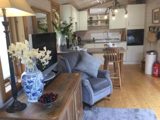 The Lodge - Luxury Lodge with Super King Size Bed, Kitchen & Shower Room - Hurstpierpoint - 9