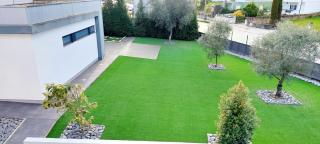 Quinta do Mateus - 8