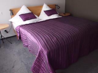 Hotel Restaurant Na Návsi - 2