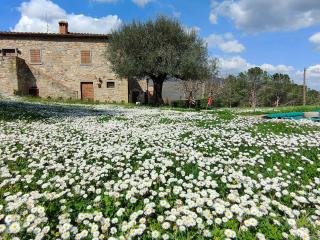 Casale Le Sette Vene - Mercatale - 6