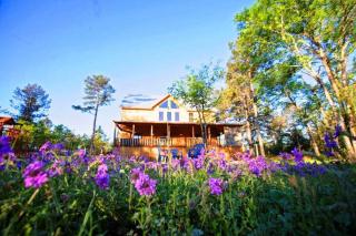 Cul-de-sac Cabin - Pool Table-Hot tub-Pet Friendly - 3