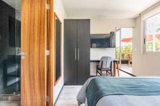 Loft con Terraza (Tabaco) - Città del Messico - 7