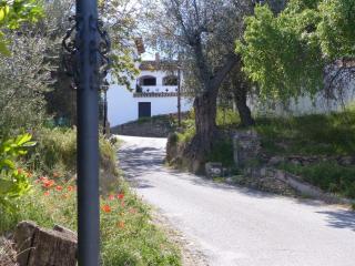 Casita de la Vaca - Mondújar - 9