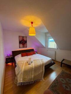 A2 pas de Colmar terrasse,parking - Wintzenheim - 5