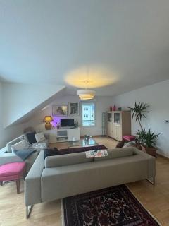 A2 pas de Colmar terrasse,parking - Wintzenheim - 9