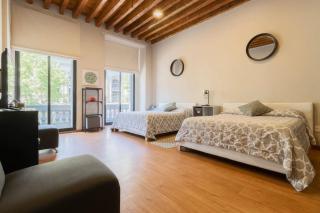 104 Location 2Bdrm 2bath AC apt Fits 8 Rooftop - Città del Messico - 0