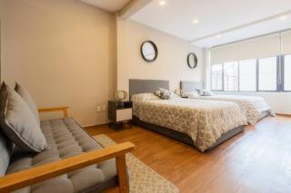 501 Zocalo 3Bdrm 2bath Rooftop - Città del Messico - 3