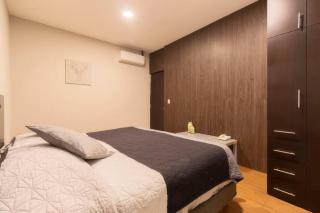 307 Spacious AC apt Historic CDMX Rooftop - Città del Messico - 7