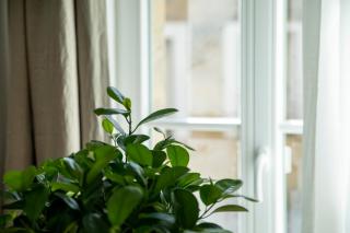 Apartment im Bayreuther Gassenviertel - Fußgängerzone - Bayreuth - 5