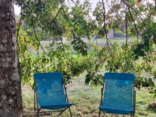 Maison de campagne 6 pers avec chemins de randonnée et station thermale à proximité - FR-1-589-631 - 4