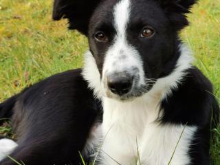 Gîte de charme avec terrasse, proche circuit 24H et zoo de la Flèche, idéal pour 4 pers. - FR-1-410-438 - 8