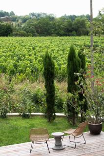 Clos de la Barbanne - Montagne - 6
