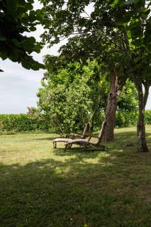 Clos de la Barbanne - 7