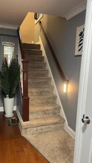Don cozy - Saint Albans - 1