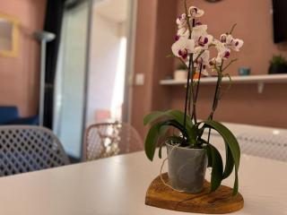 Joli 3 pièces 40m2. 2 chambres. - 5