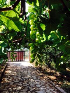 Agrotospita Country Houses - 4