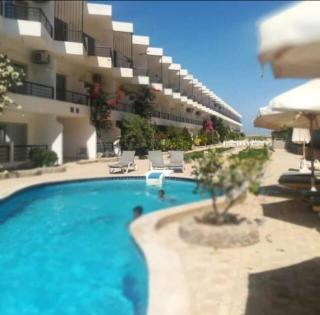 Fox House Resort Apartment - Hurghada - 3