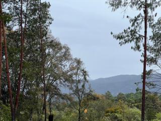 Rancho Los Ángeles - Omitlán de Juárez - 9