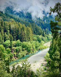 Avenue of the Giants River View Home (#1) - - 9