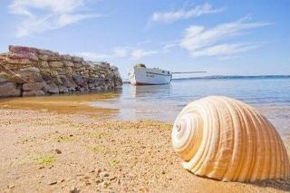 Seaside holiday house Privlaka, Zadar - 22867 - Privlaka - 7