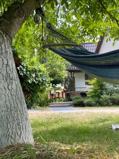 Na szlaku - Leśniki 17 - 9