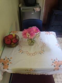 Super 'Cosy' Small Cabin in The Middle of National Park and Mountains - 3