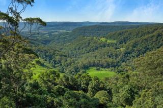 Valley View Studio, Kangaroo Valley - Beaumont - 8