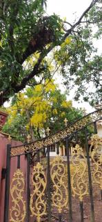 Souparnika Homestay - 8