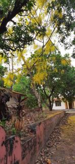 Souparnika Homestay - 9