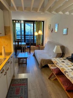 Grand Studio VILLARD DE LANS Les Glovettes - Villard-de-Lans - 3