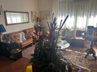 Villetta centro Imola 4 adulti persone in matrimoniale, una piazza e mezzo e un singolo con parcheggio privato gratuito - Imola - 6
