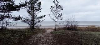 Atpūtasvietapiejūras Kotedža Piekrastē - 4