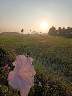สุขเสมอ โฮมสเตย์ (Suk-Samer homestay) - - 1