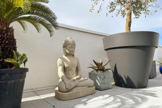 Appartement spacieux et terrasse - 3