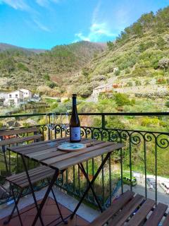 A relaxing nest - surroundings of Manarola - Volastra - 0
