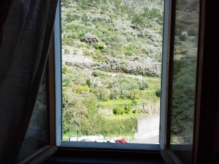 A relaxing nest - surroundings of Manarola - Volastra - 5
