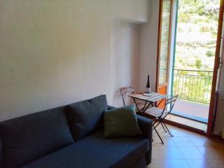 A relaxing nest - surroundings of Manarola - Volastra - 2