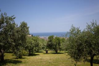 Villa Cri Cri B&B di Charme - San Benedetto del Tronto - 7