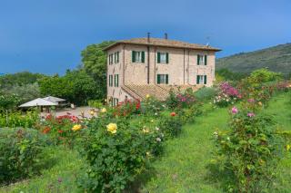 Agriturismo Cuore Verde Olmo - Spello - 3