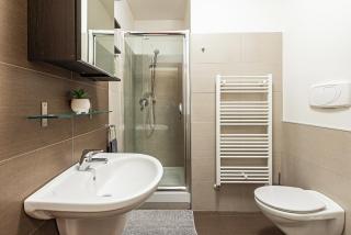 Modern Attic with Terrace - machova - Prague - 7