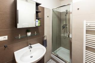 Modern Attic with Terrace - machova - Prague - 8