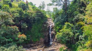 Tea Cottage Resort & Spa - 7