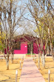 Matoshree Green Stay Sariska - Tehla - 8