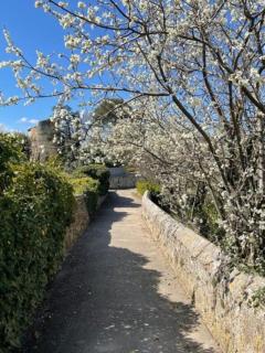 Maison de charme à Lourmarin - Lourmarin - 9