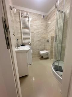 Apartament ŻELAZNY HGS Home - 9