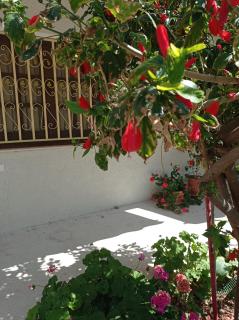 Tasos Seagull apartments - Chania - 1