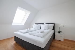 SYMPHONY Apartments 39 - Modern Loft with Terrace and Grill in Central Location - Vienne - 9