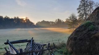 Am Grünen Meer - Müschen - 7